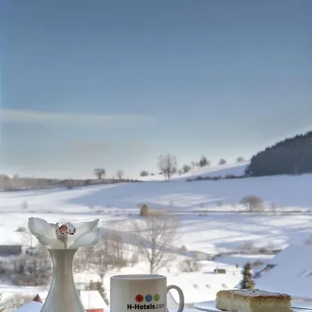호텔 H+ Willingen 3*