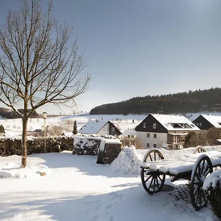 H+ 3* Willingen (Upland)