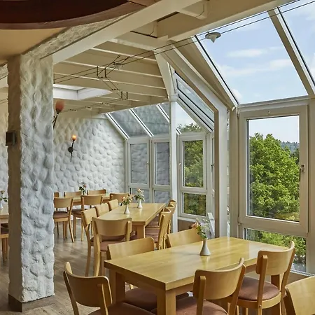 Ξενοδοχείο H+ Willingen (Upland)