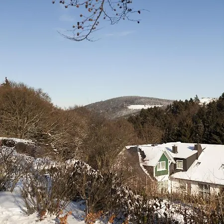 H+ Willingen 호텔 3*