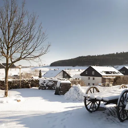 H+ Willingen 3*