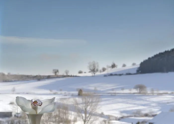 H+ Hotel Willingen (Upland)